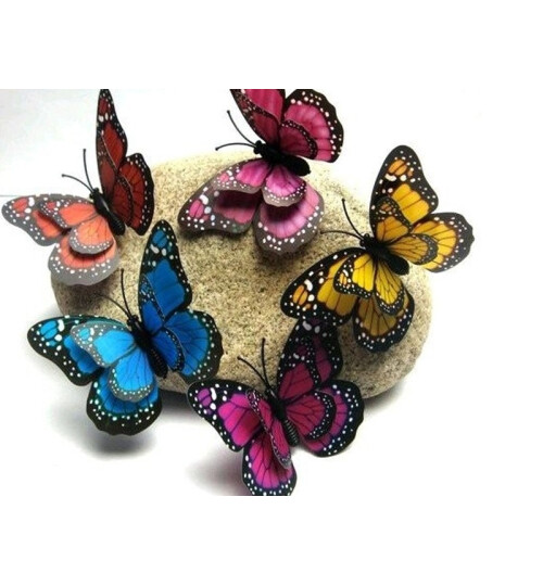 Декоративна пеперуда