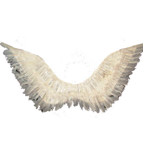 Ангелски крила с пух 