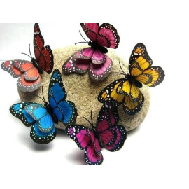 Декоративна пеперуда