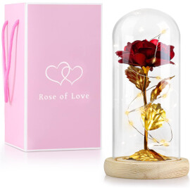 Роза в стъклена кутия