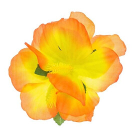 Хавайско цвете  оранжево - жълто